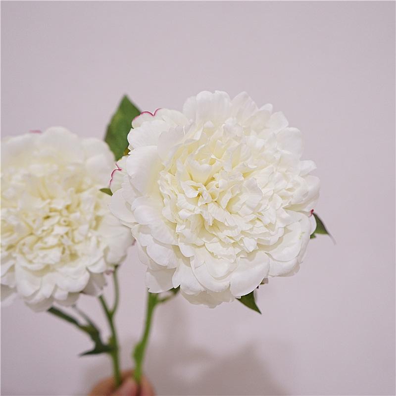 DSC06146_副本