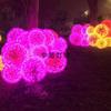 Lámpara LED para Paisajismo Exterior Impermeable Fibra Óptica de Acero Inoxidable Lámpara de Caña Decoración de Patio Comunitario Lámpara LED de Caña