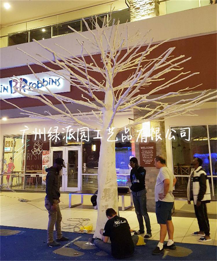 枯树100116.jpg