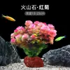 Plantas de Acuario, Decoraciones de Paisajismo con Césped Real, Plantas Aptas para Principiantes, Crisantemo Verde Ciempiés, Plantas de Sombra, Piedra Volcánica, Plantas Verdes Purificadoras de Agua
