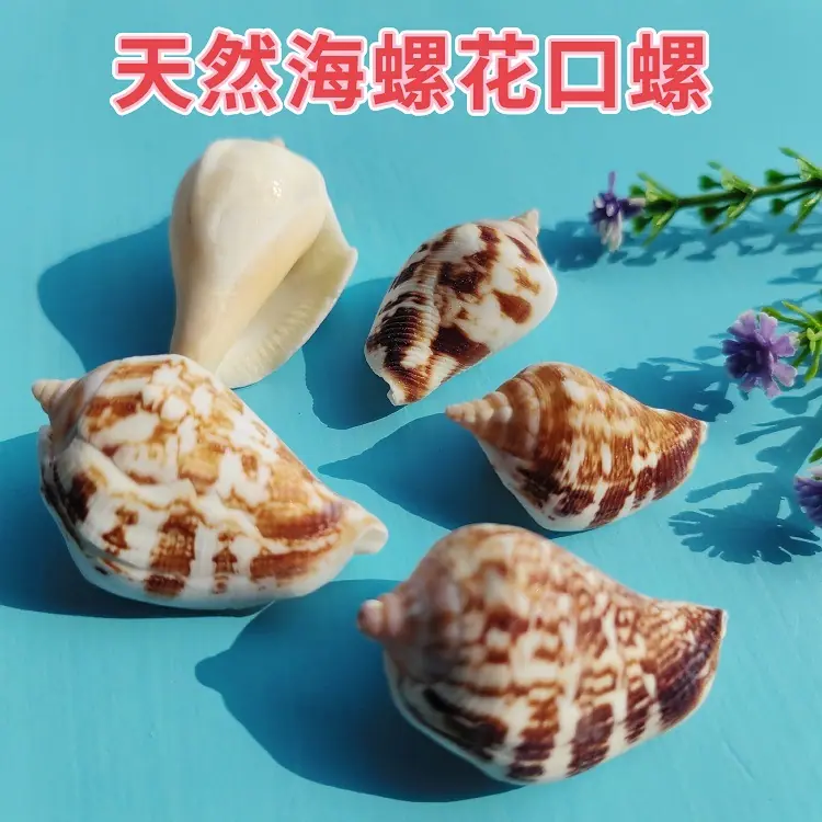 MEITU_20241212_194104715