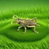 Figurinhas de Insetos em Latão Sólido, Grilos e Gafanhotos, Animais de Chá para Mesa Estilo Vintage, Artesanato Feito à Mão