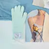 Guantes de Punto con Pelo de Conejo para Pantalla Táctil, Muñeca Larga, Estilo Coreano Nuevo, Otoño e Invierno, Cálidos, Color Fresco, Bufanda Pequeña, Combinan con Todo