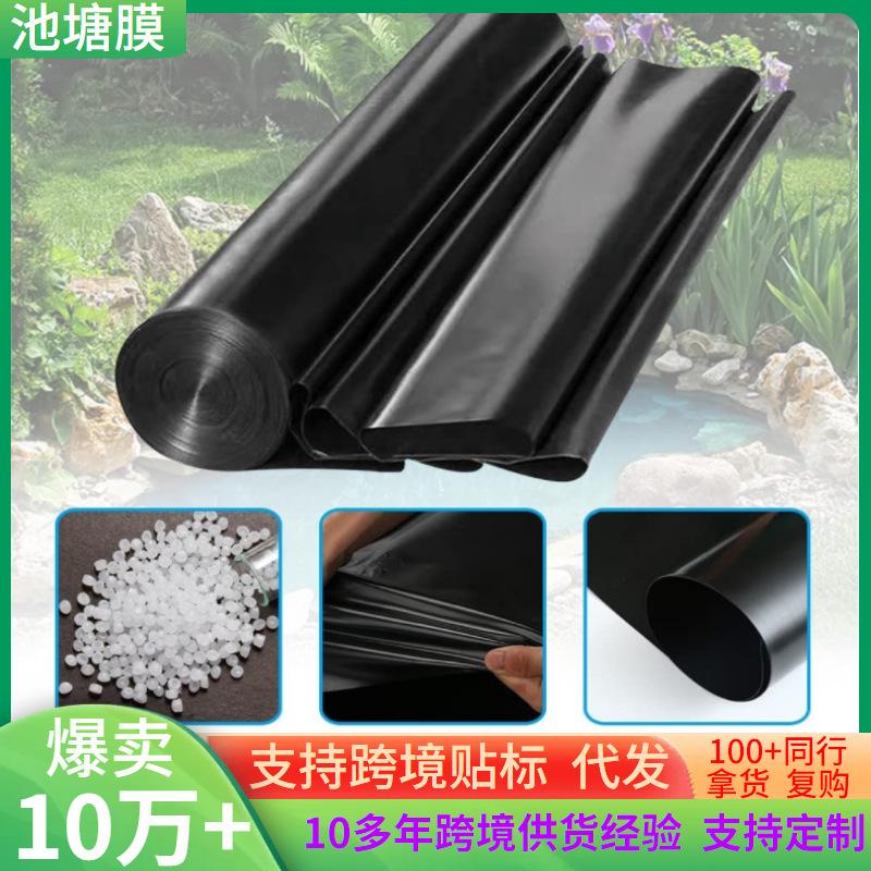 原厂地果园红柚活动时间限时直降诚招代理实力供应顺丰包邮 20