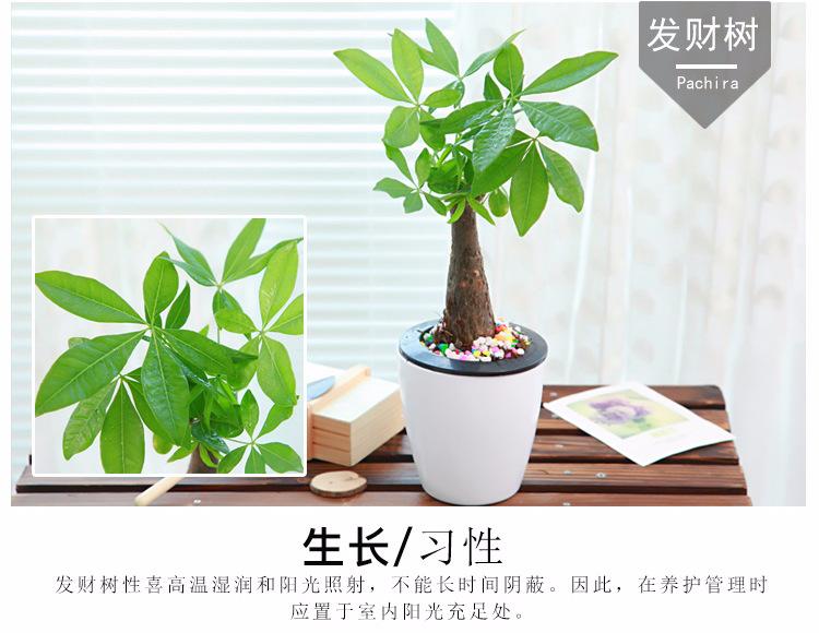 璇︾粏15