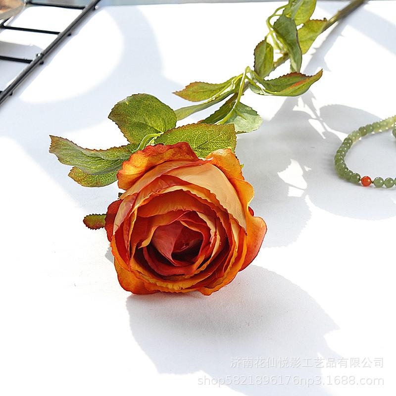 单支复古英国玫瑰