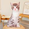 Brinquedo de Pelúcia Gato Simulado com Estampa de Gato, Boneca Adormecida de Pelúcia, Brinquedo de Pelúcia Boneca para Crianças