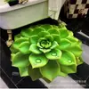 Tapete de Chão Diatomáceas Estéreo 3D Tapete de Secagem Rápida para Plantas Suculentas Tapete para Banheiro Sala de Estar Tapete Absorvente de Água Antiderrapante