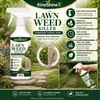 KineShineX Spray Herbicida para Césped de Jardín Agente de Tratamiento de Malezas para Patio Spray Localizado para Malezas de Hoja Ancha Jardinería