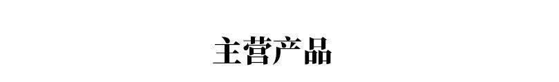 汽油泵_06