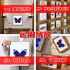 Especímenes de Mariposas Reales para Práctica, Mariposas Originales con Alas Sin Abrir, Materiales DIY para Espécimenes de Insectos, Mariposas Monarca, Insectos Originales, Mariposas Cola de Golondrina