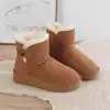 Botas de Nieve Populares Rellenas Todo en Uno para Mujer en Invierno 2025 Nuevos Zapatos de Algodón Cálidos Acolchados de Terciopelo para Mujer Zapatos Antideslizantes