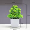 Venda quente transfronteiriça Simulação de planta Planta falsa Planta verde Decoração interna e externa Simulação de eucalipto em vaso de plástico Planta pequena em vaso