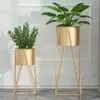 Estante de Flores de Hierro Simple Nórdico Estante de Almacenamiento Estante para Flores Interior Sala de Estar Balcón De Pie Estante para Macetas Rosa Verde Planta Verde