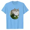 Camiseta Nueva con Estampado de Meme de Gato Sandía para Mujer, Moderna, Comercio Exterior, Holgada, Casual, Deportiva, Manga Corta