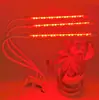 Luz LED 5V com Clipe para Interior Luz Vermelha e Azul Espectro Completo Multi-Dimmer Interruptor Timer Luz para Crescimento de Plantas Luz de Preenchimento 12V