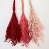 Hierba de Amor Blanqueada Flor Inmortal Hierba de Amor Blanqueada Ramo Seco Material Base Yunnan Venta Directa Ramo Pequeño Amazon
