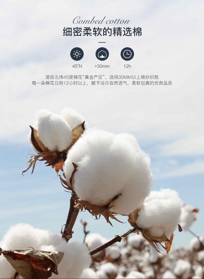 10227230994_1610973108