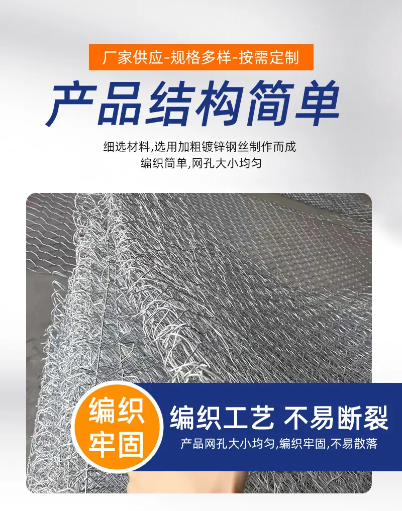 雷诺_08.jpg