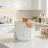 Estilo Europeu Pote de Açúcar Cerâmico Fofo Pote de Condimento Venda Quente Transfronteiriça Pote de Sal Cerâmico Suprimentos de Cozinha Pote Cerâmico