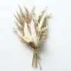 Flores Secas Mini Transfronteiriças, Flores Preservadas, Pequenos Buquês, Lapelas de Casamento, Lembrancinhas, Acessórios, Decorações, Atacado Personalizado