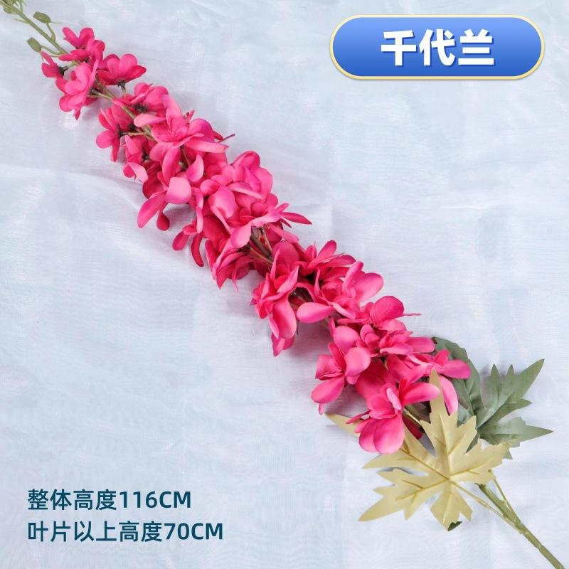 O1CN01kGeLuA2Hq70iwlO3K_!!2213