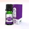 10ml Aceite esencial de masaje corporal de hierba de Artemisia argyi rosa planta jengibre raspado aceite compuesto rosa jengibre venta al por mayor
