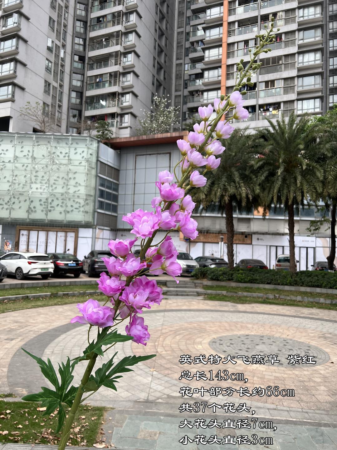 微信图片_20240330162509