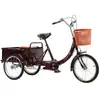Triciclo de pedal para adultos mayores, bicicleta triciclo humano, vehículo de viaje de ocio, vehículo de compras, triciclo de pedal de paso antiguo