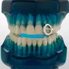 Grillz para Dentes em Forma de Estrela Vazada Cravejado com Diamantes, Estilo Hip-Hop de Luxo Leve, Decoração Ajustável para Dente Único, Acessório de Dente Cool e Versátil
