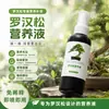 Solución Nutritiva Especial para Ciprés Calvo Promueve el Crecimiento, Fortalece Plántulas y Hojas, Previene Amarillamiento, Sequedad, Pudrición de Raíz y Crecimiento Lento, y Promueve la Fertilización