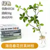 Plantas Verdes Simuladas, Galhos de Flores da Primavera da Ilha, Decoração de Interiores e Paisagismo, Galhos Artificiais, Enfeites de Plantas para Decoração de Sala de Estar