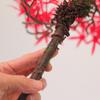 Hoja de Arce Simulada Hoja de Arce Roja Simulada Rama Seca Falsa Hojas Decorativas Estilo Chino Nuevo Adornos de Flores Secas Paisaje de Plantas en Maceta de Interior Paisajismo