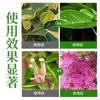 Solução Nutricional de Molécula Pequena, Não Precisa de Diluição, para Enraizamento de Plantas e Fortalecimento de Mudas, Folhas Verdes e Brilhantes, Fertilizante Líquido, Resistente ao Frio e à Seca, Tipo de Uso Geral