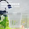 Estante de fijación para plantas hidropónicas de acuario canasta de plantación para colgar en la pared taza de plantación de plantas acuáticas para el hogar decoración de paisajismo de acuario maceta