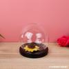 Cúpula de Vidro Hemisférica, Cúpula de Vidro com Flor Eterna Feita à Mão, Cúpula de Vidro com Iluminação e Base de Madeira Sólida, Bola Decorativa de Vidro para Assar
