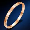 Pulsera de Acero Titanio, Cintura Pequeña, Pulsera de Acero Inoxidable de Lujo Ligero para Mujer, Pulsera Nicho con Incrustaciones de Diamantes, Joyería al por Mayor de Estilo Simple de Celebridad de Internet
