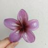 Pinza para el Cabello de Flor de Plumeria para Mujer, Pinza de Tiburón Floral, Accesorio Estilo Vacaciones en la Playa, Pasador, Adorno para el Cabello, Pinza para el Cabello