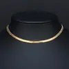 Europa y Estados Unidos joyería de moda de personalidad simple transfronteriza fabricantes suministro directo cadena de aleación collar hueso de serpiente plano