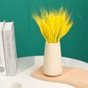 Espigas de Trigo, Espigas de Arroz, Trigo, Espigas de Trigo, Flores Secas, Decoração de Plantas Naturais, Adereços para Fotos, Cesta de Flores para Abertura, Arranjo de Flores, Buquê Seco