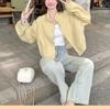 Chamarra Cortavientos de Trabajo Color Amarillo Crema para Mujer Primavera y Otoño 2025 Nuevo Diseño Reductor de Edad Top de Chaqueta Larga de Manga Larga de Nicho