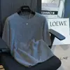 Tienda Insignia Shanghai Dan Nong/26 Otoño Lana Cachemir Cepillado Manga Corta Tejido Suéter para Mujer Nuevo Estilo Principios de Otoño