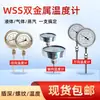Termómetro Bimetálico Wss-401, Instrumento Industrial de Acero Inoxidable Resistente a Altas Temperaturas y Anticorrosión Axial para Tuberías Químicas