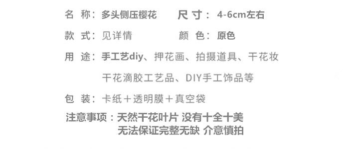 带枝多头樱花.png