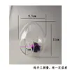 Micro-Paisaje Jarrón de Vidrio con Forma de Huevo Transparente Suculenta Planta Musgo Botella Ecológica Kit de Materiales DIY Decoración de Planta en Maceta