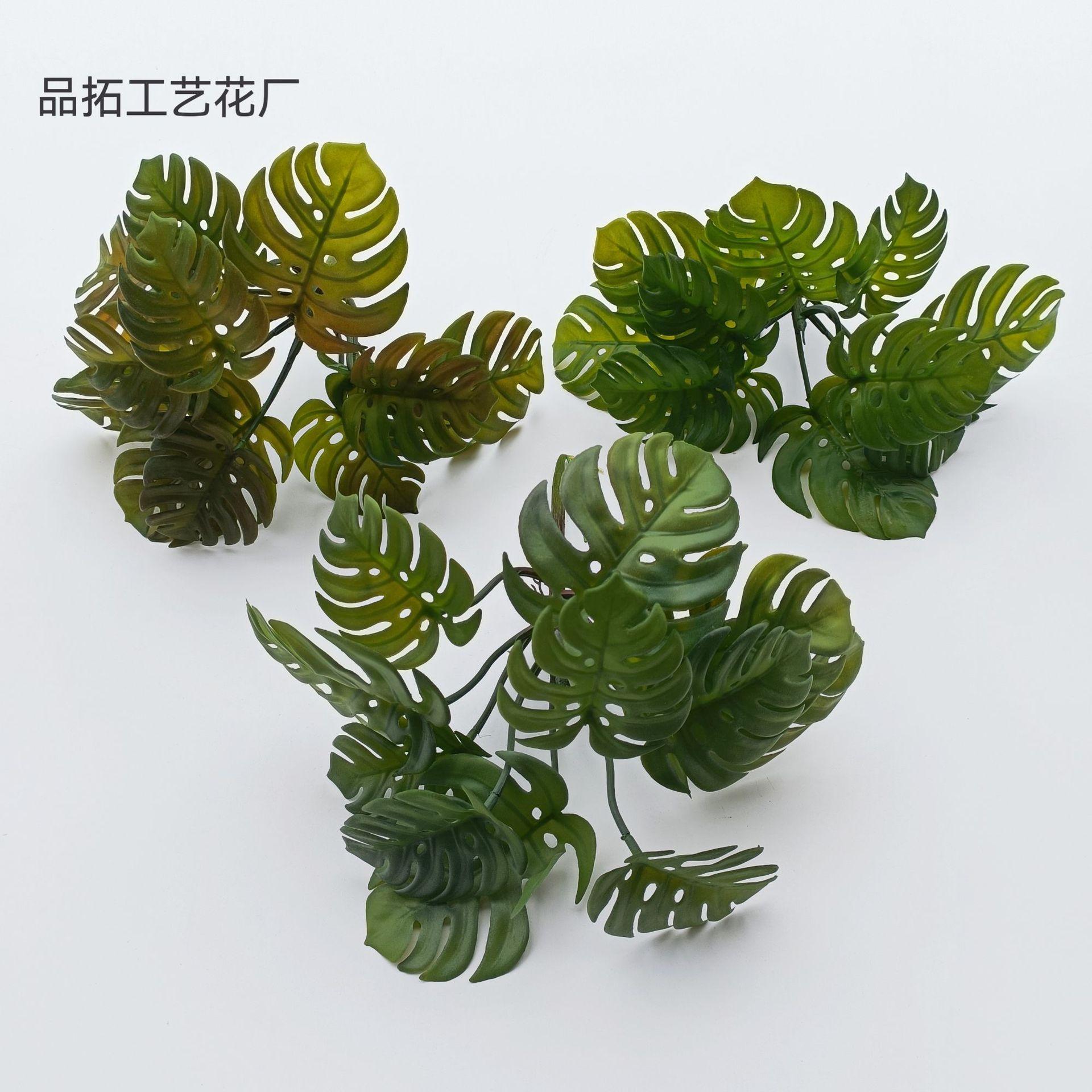 22db871b2b2baf5a6db58c6c7e2529