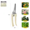 Conjunto de Tesouras de Poda, Tesouras para Colheita de Frutas, Tesouras para Poda de Galhos Grossos, Tesouras de Jardinagem, Tesouras Multi-Função para Jardim com Cabeça Reta e Curva
