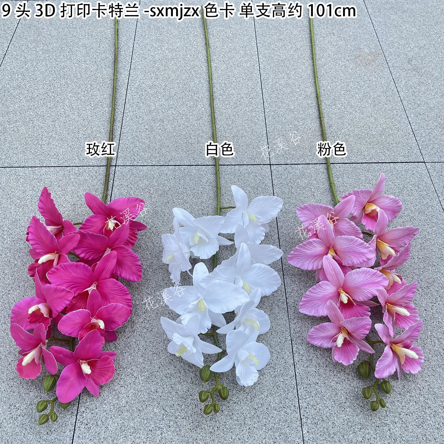 9头3D打印卡特兰-sxmjzx 色卡 花溪谷.jpg