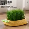 Fornecido diretamente pelo fabricante: caixa hidropônica de grama para gatos, petiscos para gatos, sementes de grama para gatos em vaso sem terra, catnip, vaso para grama de gato, suprimentos para gatos