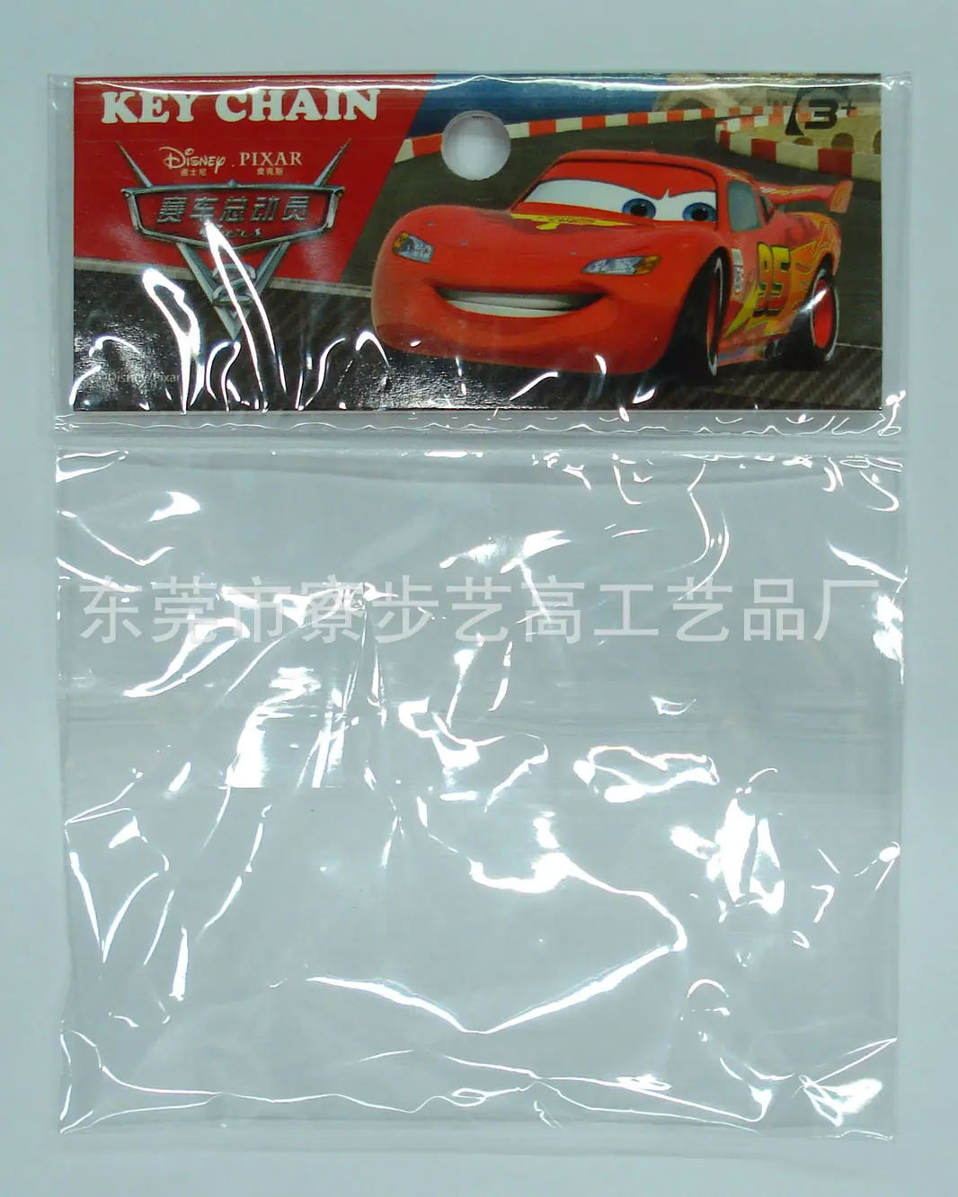 POLYBAG PICTURE